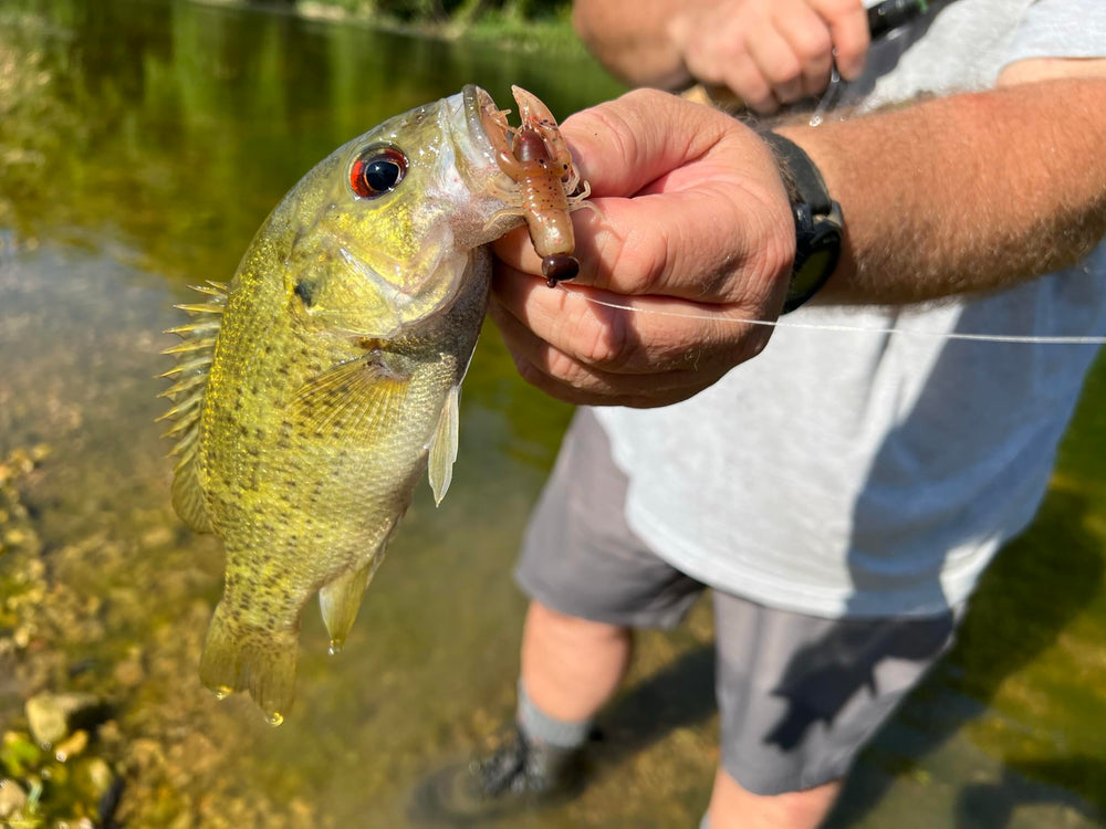 Rebel Creek Craw Ned rig setup close-up for finesse fishing