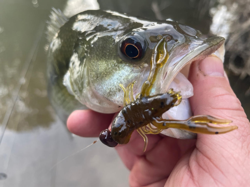 Rebel Creek Craw pre-rigged on KEG Head Jig ready to fish