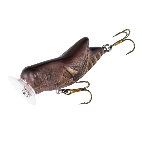 Side view of Rebel Crickhopper Popper highlights lifelike grasshopper profile