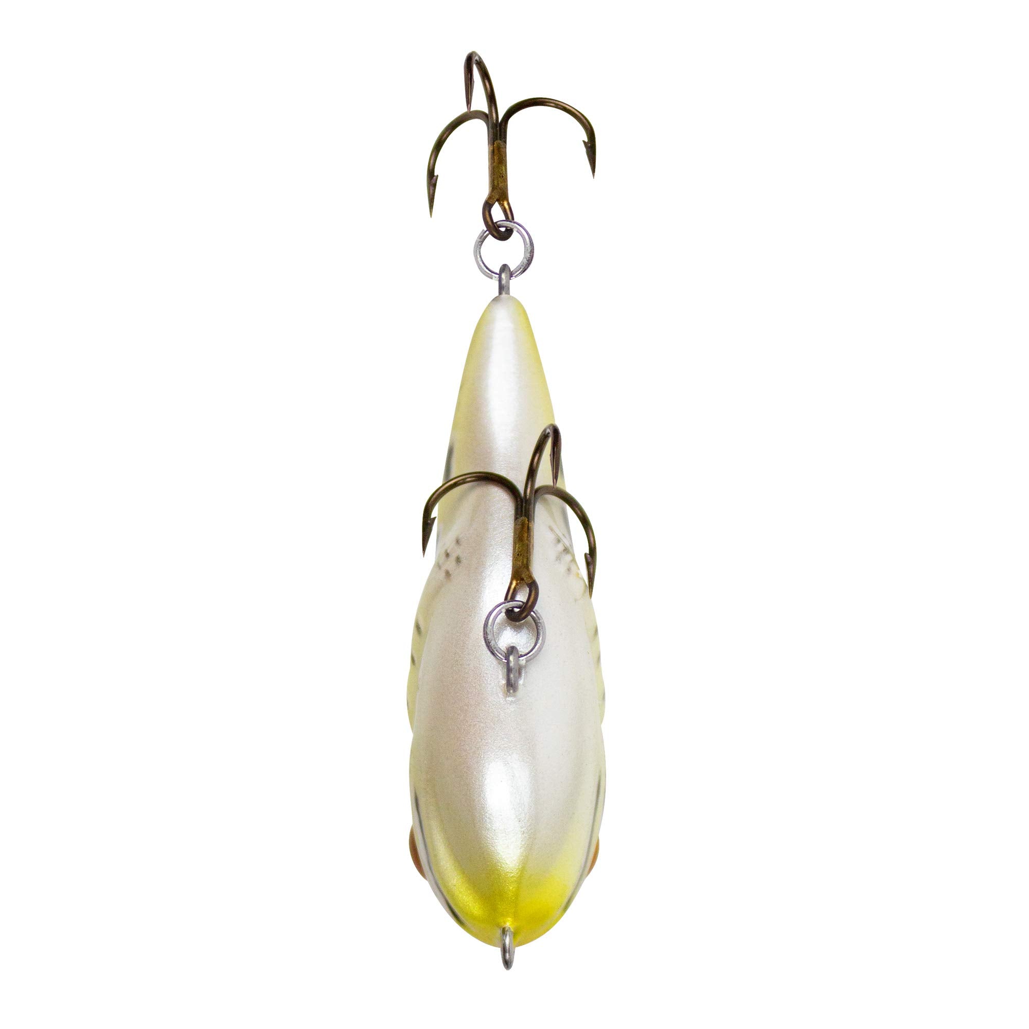 Rebel Frog-R Lure realistic frog profile attracting bass on surface.