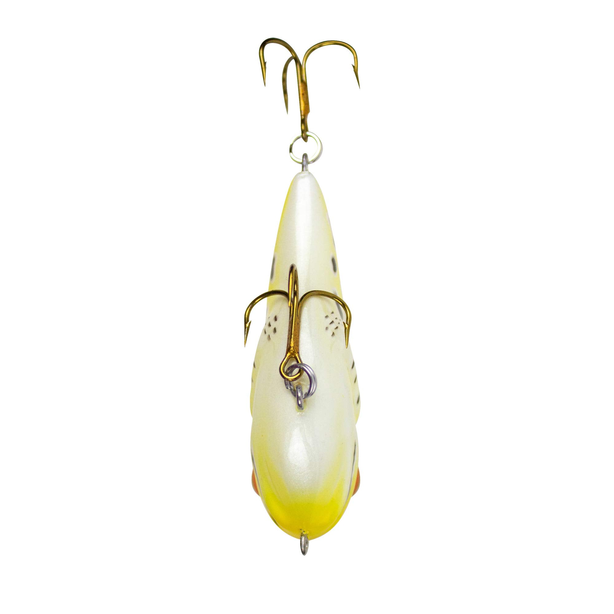 Rebel Frog-R Lure realistic frog skin look under sunset water