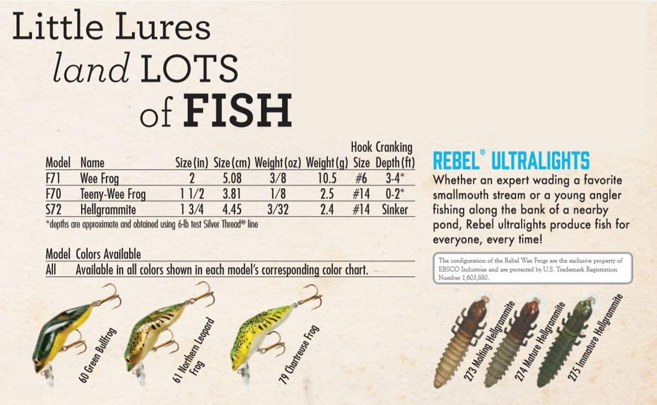 Rebel Hellgrammite bottom-searching sinking lure reaching fish near lake bottoms.