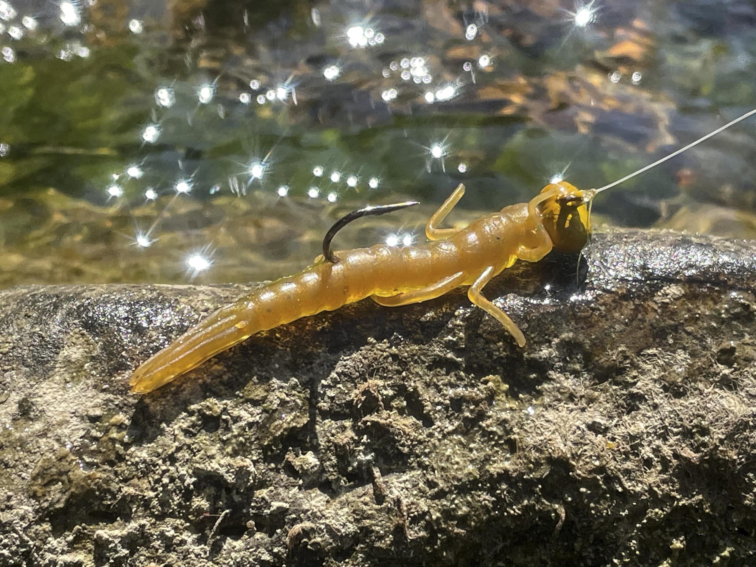 Rebel Siren Nymph attracts attention with natural prey look for potential strikes.
