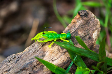 Rebel LIVEFLEX Hopper floating design creates natural presentation.
