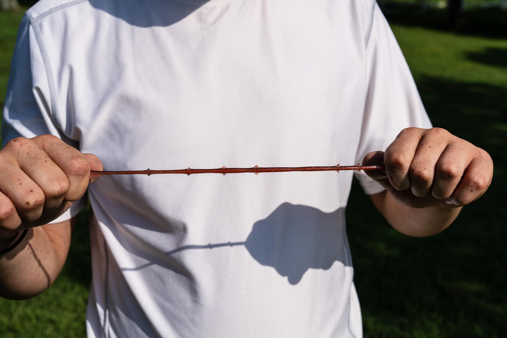 Rebel LiveFlex scents resemble natural attractants for fish.