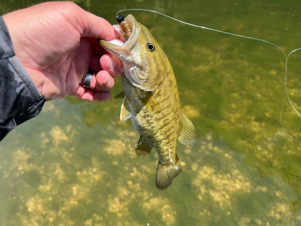 Rebel Lures floating material, natural presentation with buoyant action.