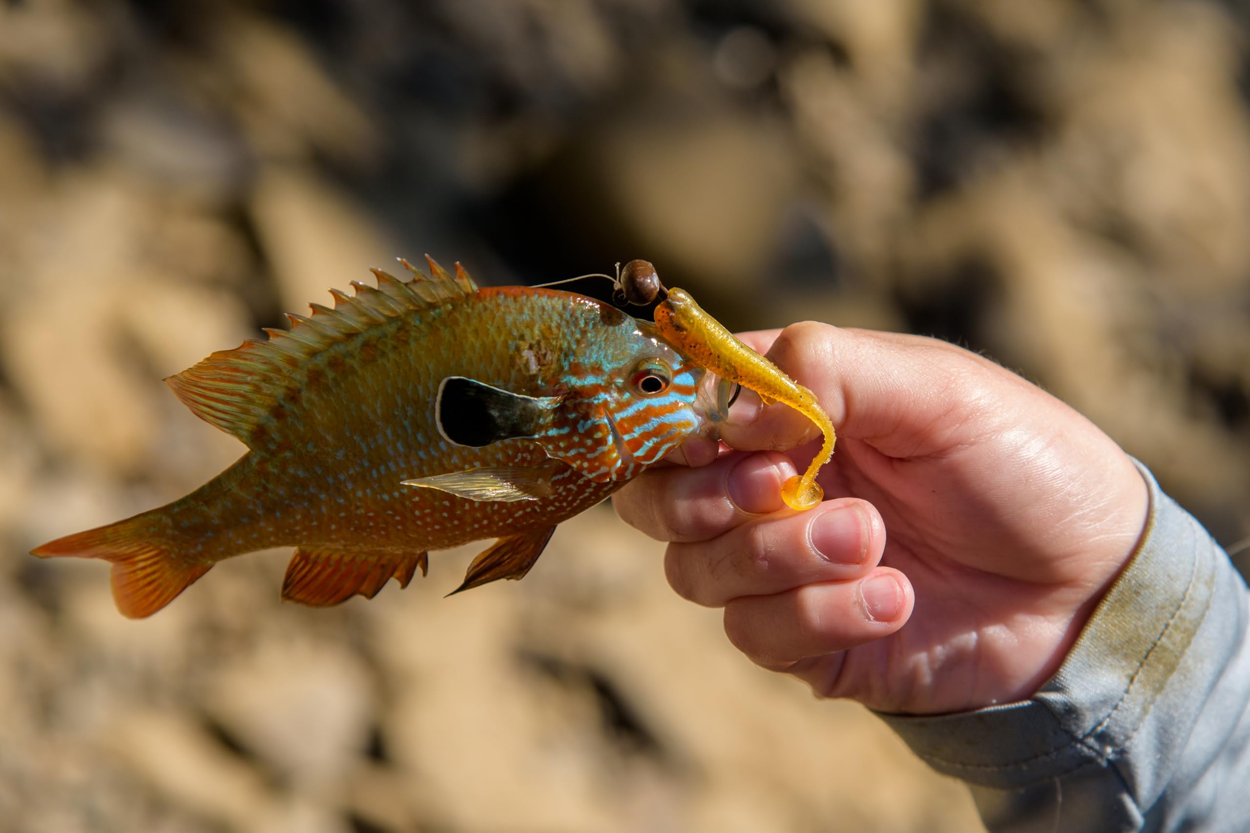 Contents include six soft plastics and three KEG Head Jigs