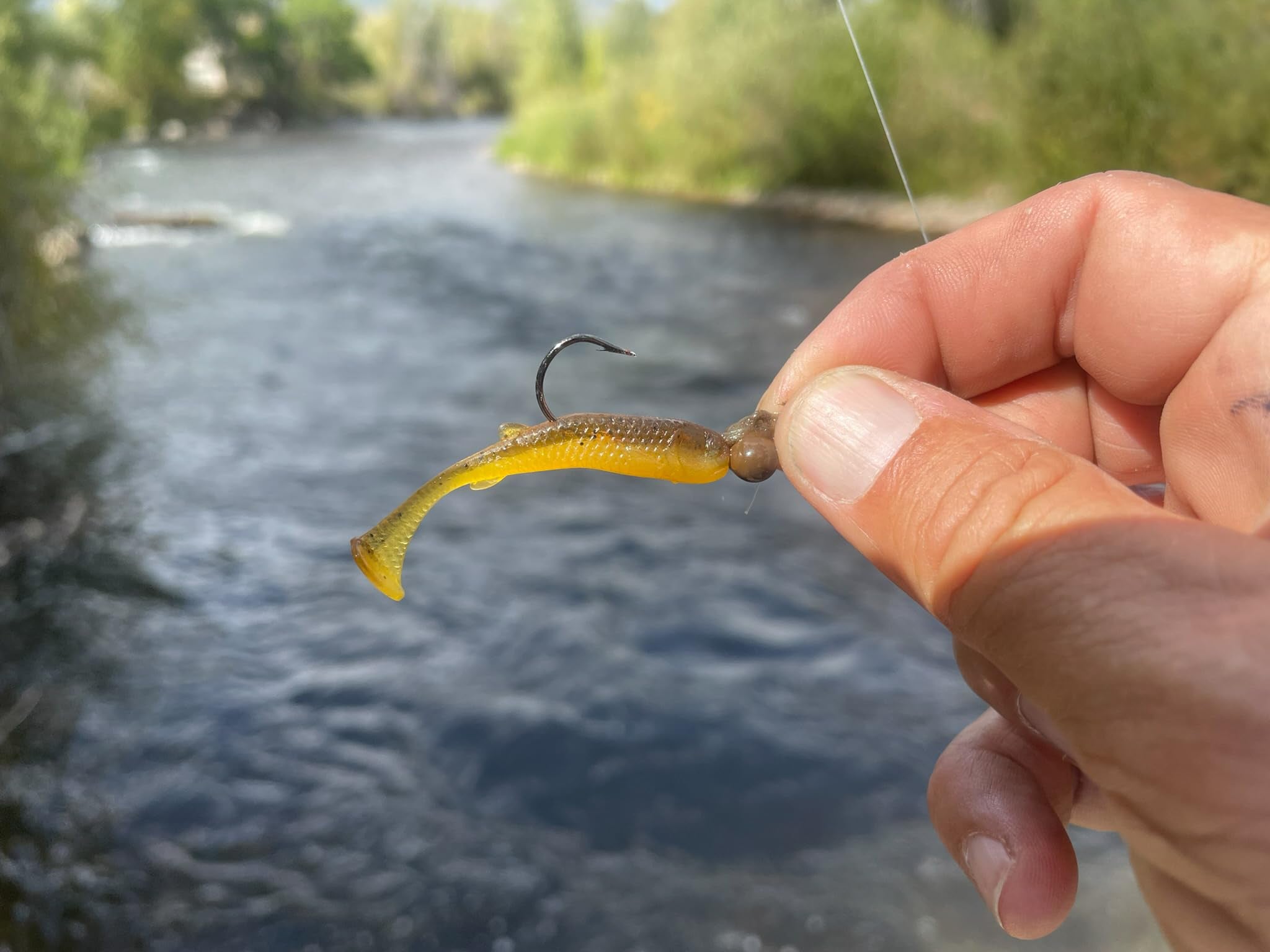 Ozark Minnow color and action suited for ponds and rivers