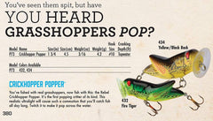 Rebel Crickhopper Popper closeup paint detail boosts lure recognition on calm water.