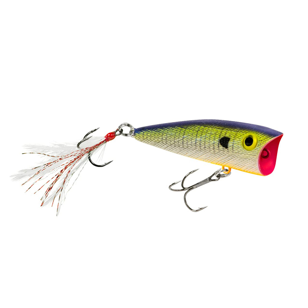 Rebel Pop-R feather tail blue gill lure boosts bass surface attraction