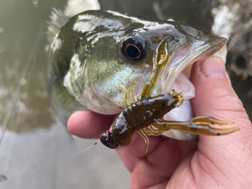 Rebel scent-infused lure helps attract wary fish