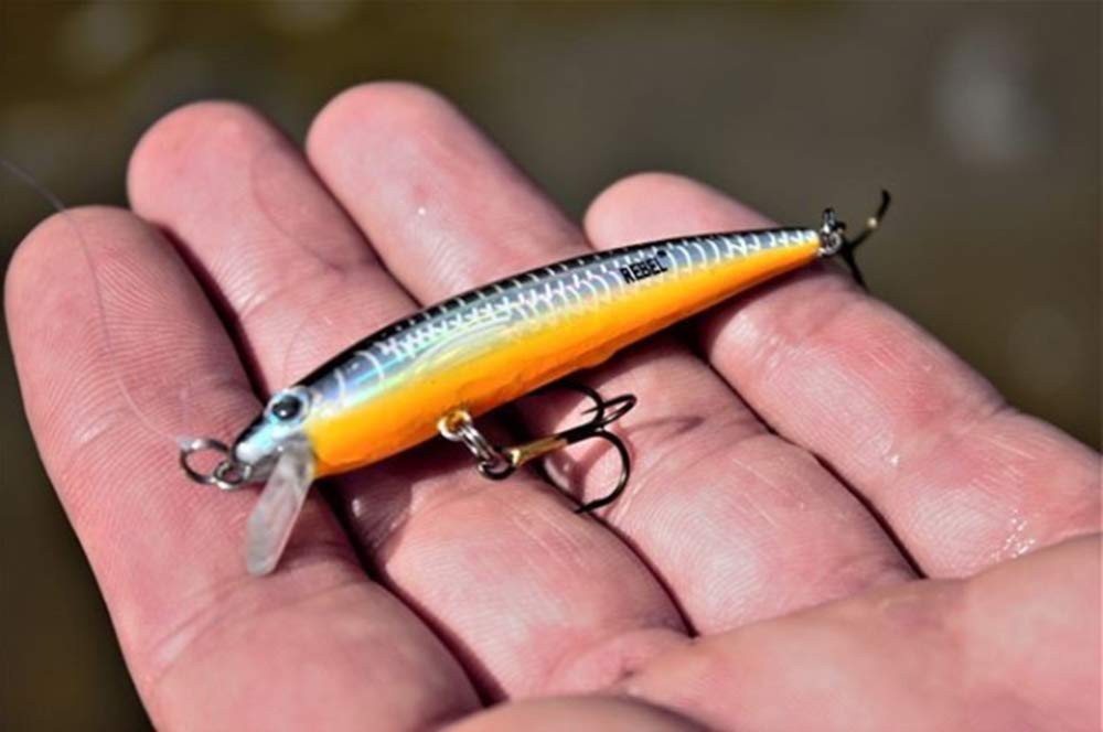 Rebel Tracdown Minnow color pattern close-up demonstrates realistic bait cues.