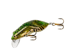 Rebel Wee-Frog topwater action drawing strikes in clear water