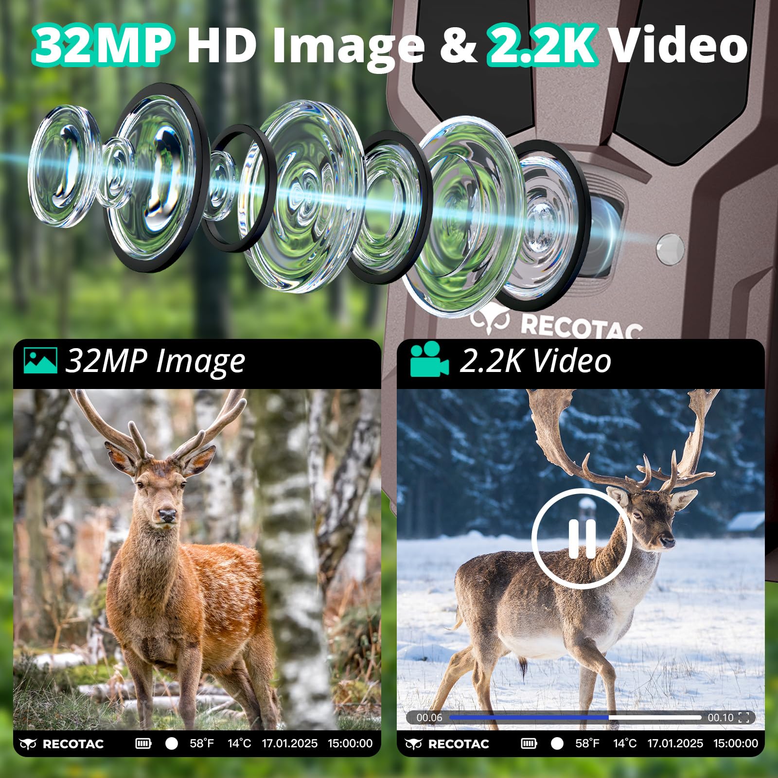 RECOTAC Sense trail camera forest setup demonstrates remote monitoring capability