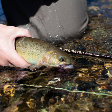 Redington Classic Trout rod performing delicate spring creek presentations