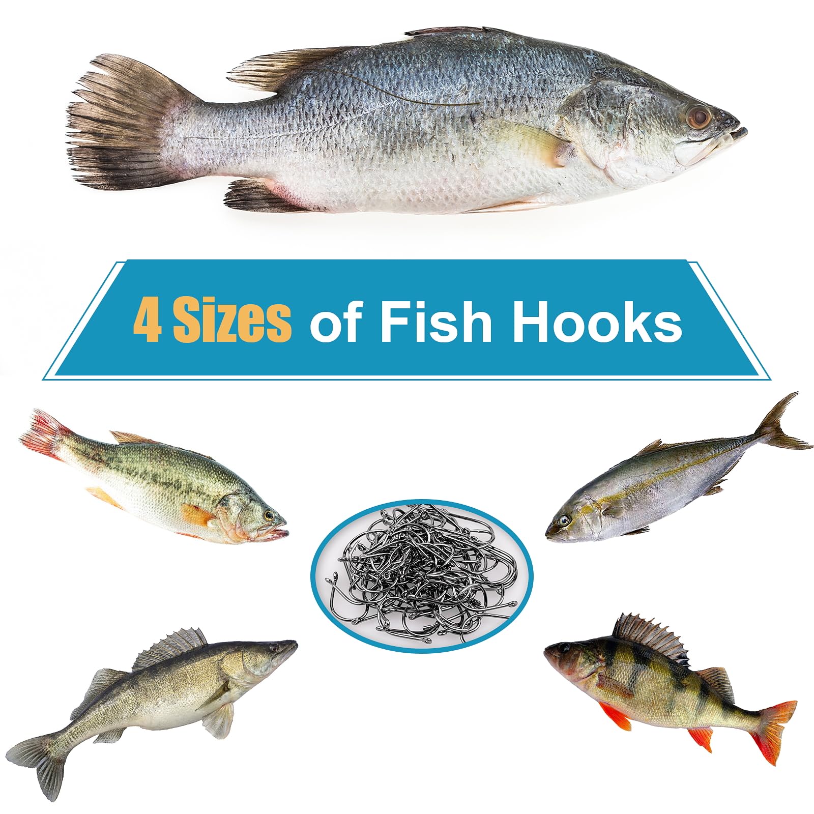 Size chart showing 10 and 4 hook sizes