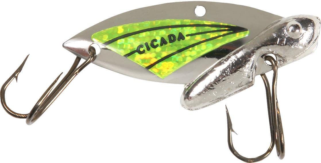 REEF Reef Runner Cicada Lure fall action highlights fluttering motion to attract bites