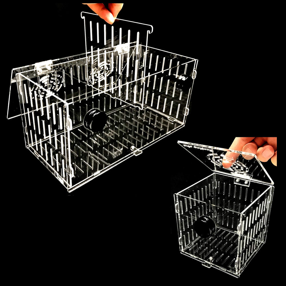 Reefing Art large acclimation box 16x6x8 for safe, stress-free livestock acclimation