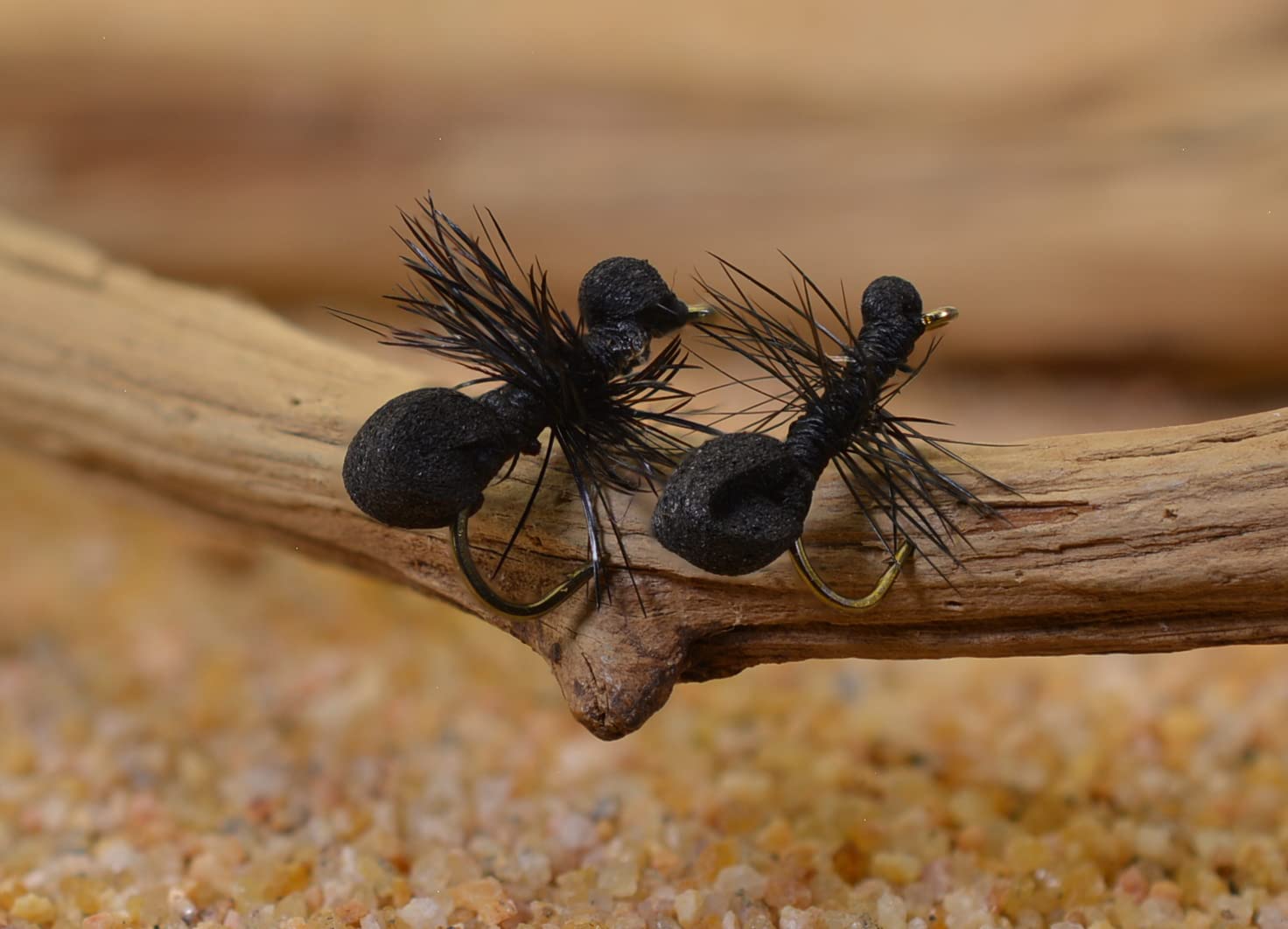 Region Fishing ant dry fly tied on Mustad Signature hook 14 for precise presentation