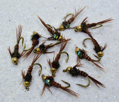 Region Fishing size assortment 12-18 flies for flexible hatch matching