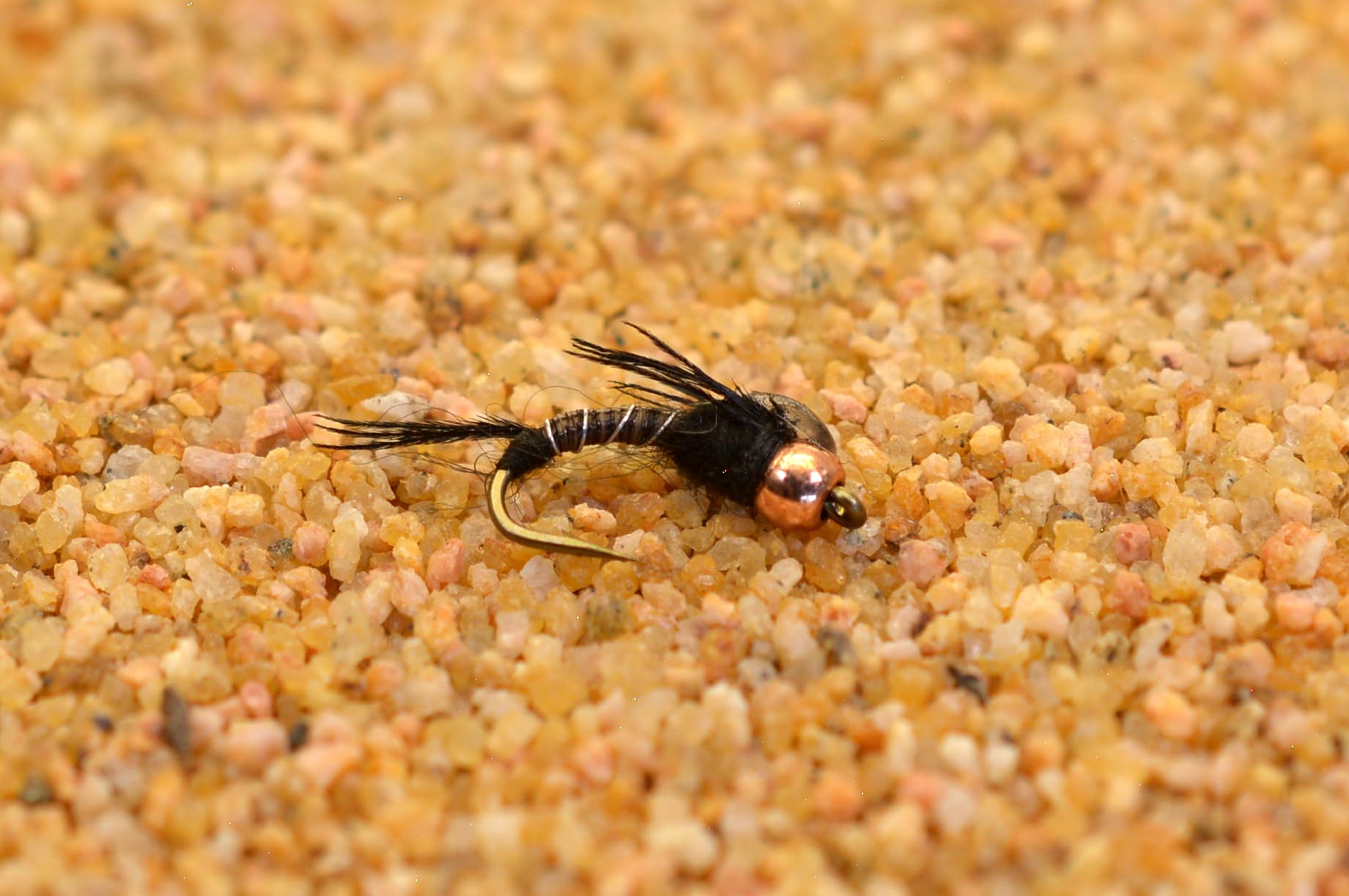 Region Fishing bead head black micro mayfly nymph shown for midges and emergers fishing versatility