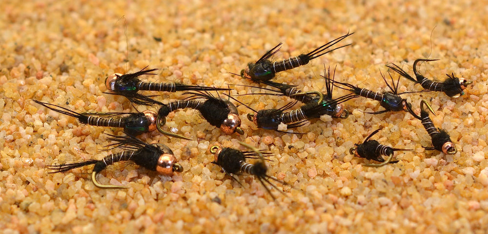 Region Fishing bead head black micro mayfly nymph, shown ready for fast-water presentations