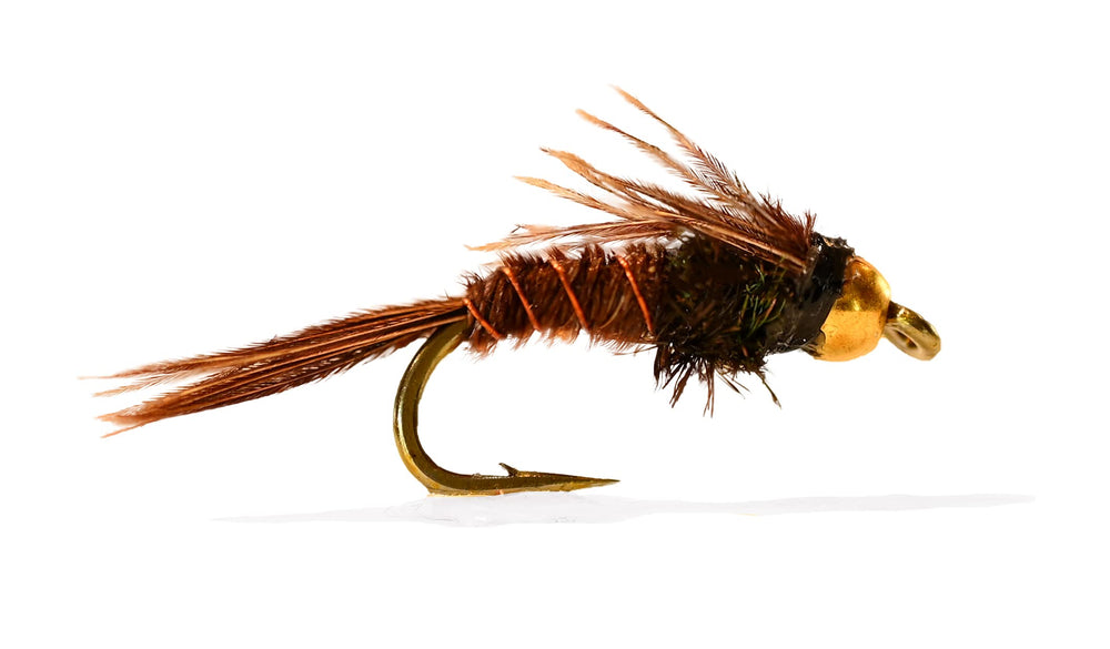Region Fishing bead-head flash-back mayfly nymph on Mustad hook for versatile hatching patterns