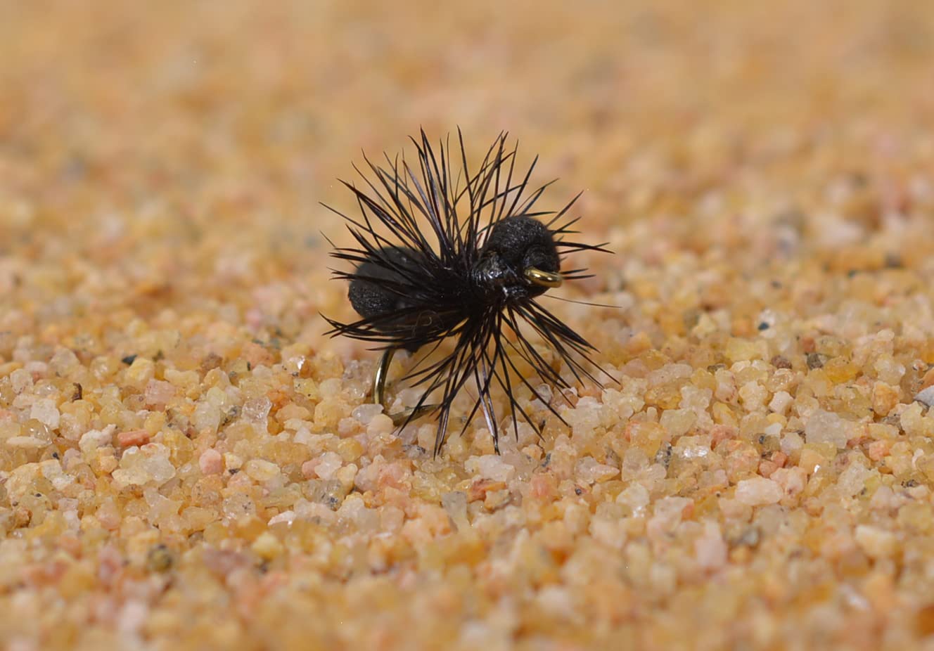 Region Fishing black foam ant dry fly on Mustad hook 14, ready for bank-side trout
