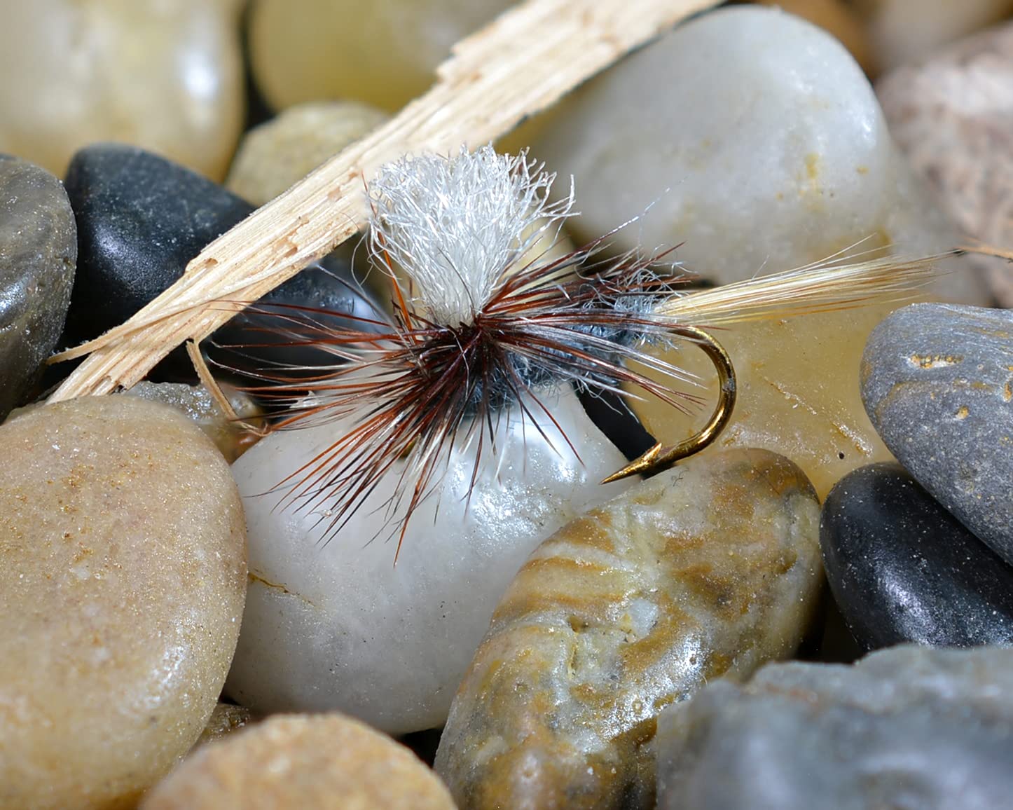 Region Fishing closeup of Parachute Adams dry fly for detailed inspection
