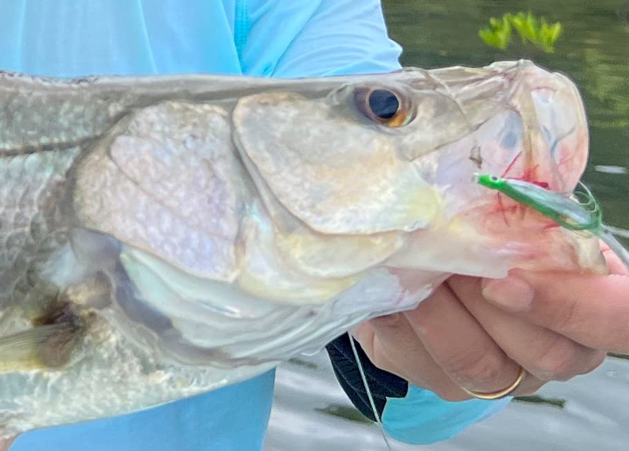Close-up of Region Fishing Deceiver showing green-white body and red throat on Mustad Duratin hook.