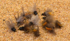 Region Fishing 12 fly October Caddis pack ready for end of rig fishing sessions
