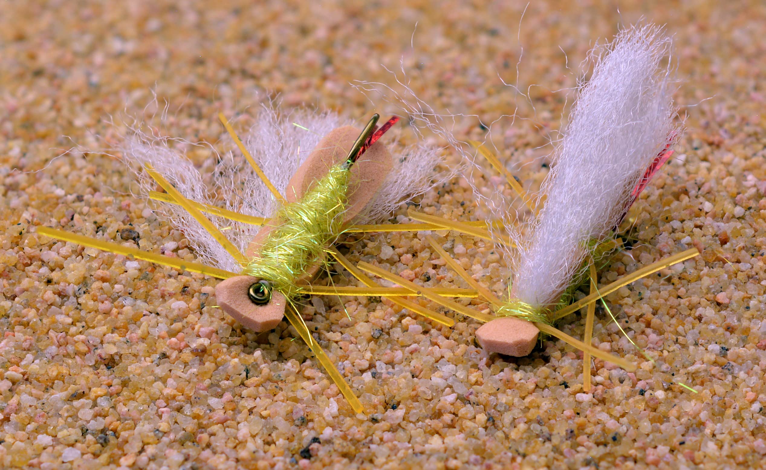 Region Fishing Chubby Chernobyl Hopper 12ct package showing buoyant foam fly design.