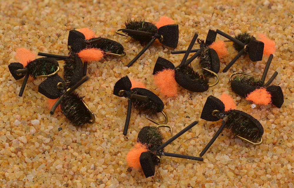 Region Fishing foam beetle close-up showing buoyant foam body supports surface fishing and easy detection.