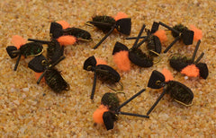 Region Fishing foam beetle close-up showing buoyant foam body supports surface fishing and easy detection.