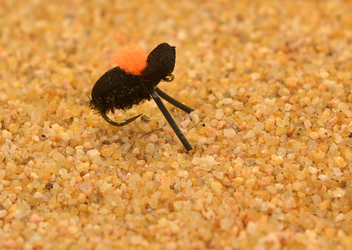 Region Fishing foam beetle dry fly in front view with neon orange parachute enhances visibility on the water.