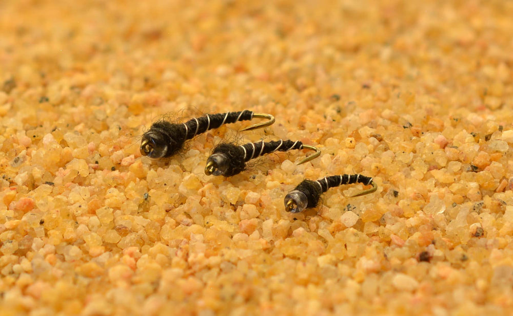 Region Fishing Mercury Black Beauty midge with glass bead enhances trout presentation.