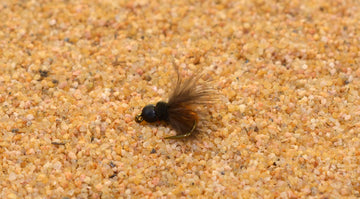 Region Fishing October Caddis Emerger Soft Hackle on Mustad #12 ideal for versatile nymphing