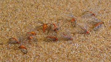 Region Fishing one dozen orange partridge nymphs ideal for diverse freshwater rigs.