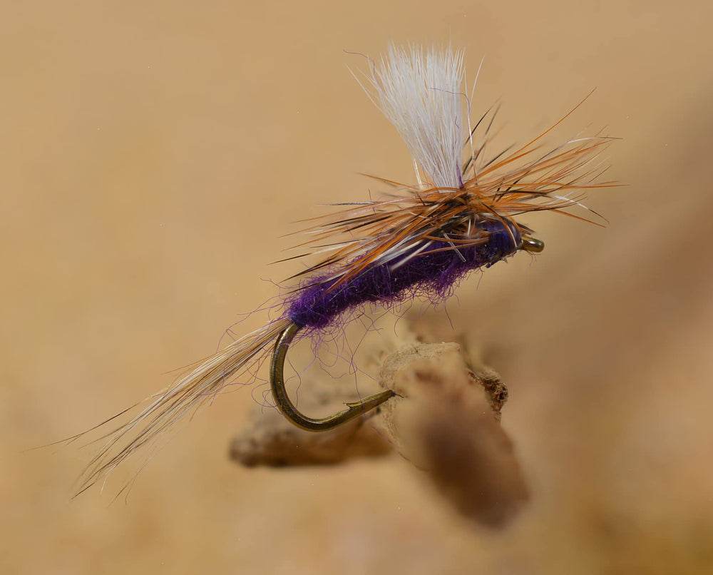Region Fishing Purple Haze Dry Flies on Mustad hooks for versatile trout dry fly action