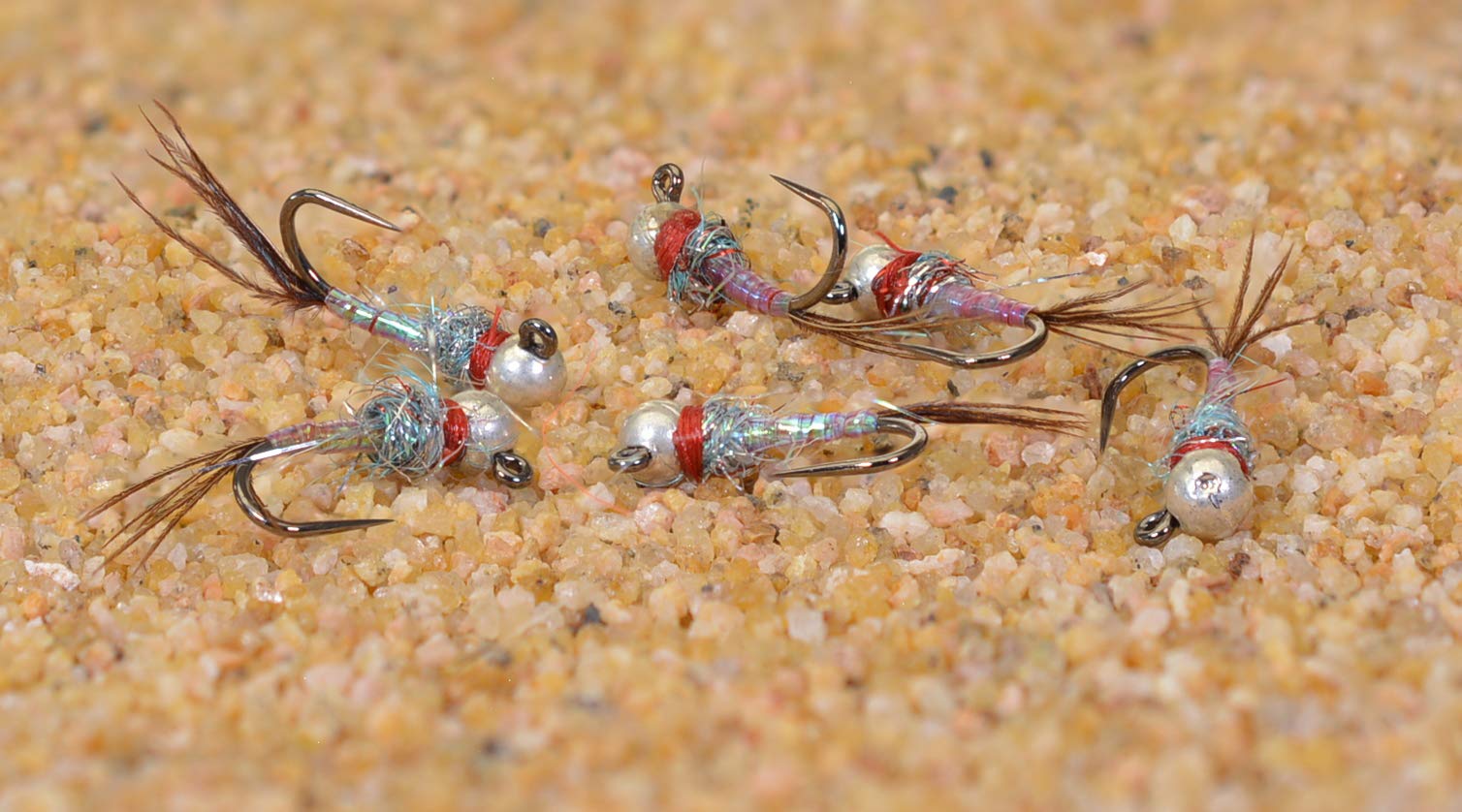 Region Fishing Rainbow Warrior Euro Nymph with tungsten bead for fast presentation in feeding lanes.
