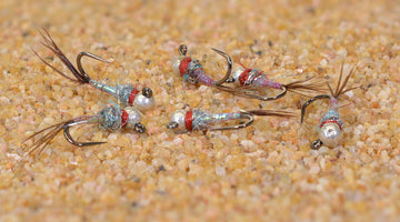 Region Fishing Rainbow Warrior Euro Nymph with tungsten bead for fast presentation in feeding lanes.