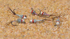 Region Fishing Rainbow Warrior Euro Nymph with tungsten bead for fast presentation in feeding lanes.