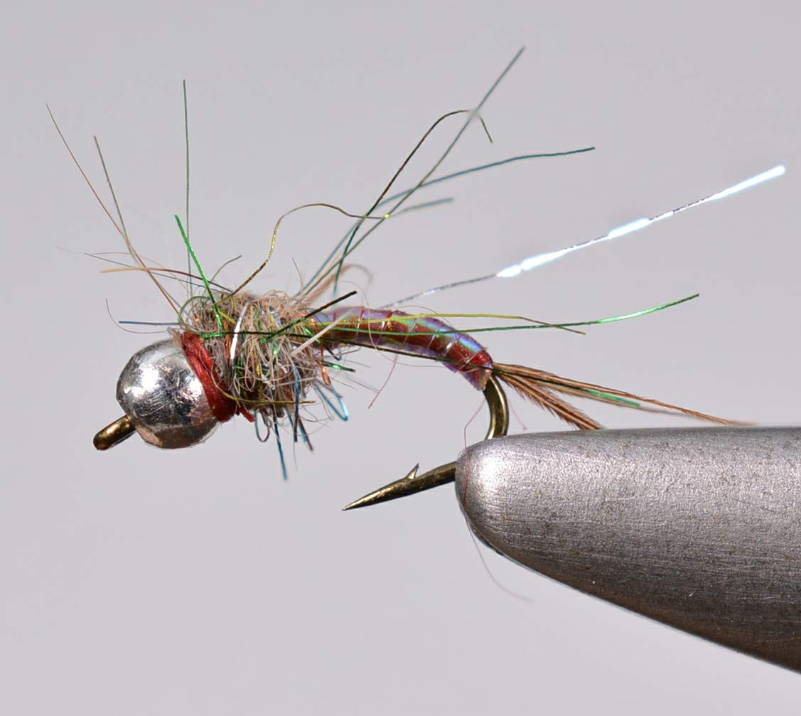 Region Fishing Rainbow Warrior Midge Nymph with tungsten bead sinks quickly for trout.