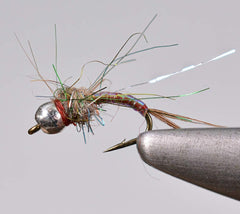 Region Fishing Rainbow Warrior Midge Nymph with tungsten bead sinks quickly for trout.