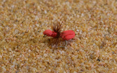 Region Fishing red foam ant dry fly on a Mustad Signature hook, highlighting premium craftsmanship