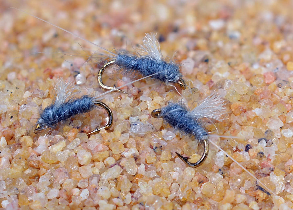 Region Fishing RS2 Gray Emerger Midge Nymph Fly pack shot showing 12 flies across sizes