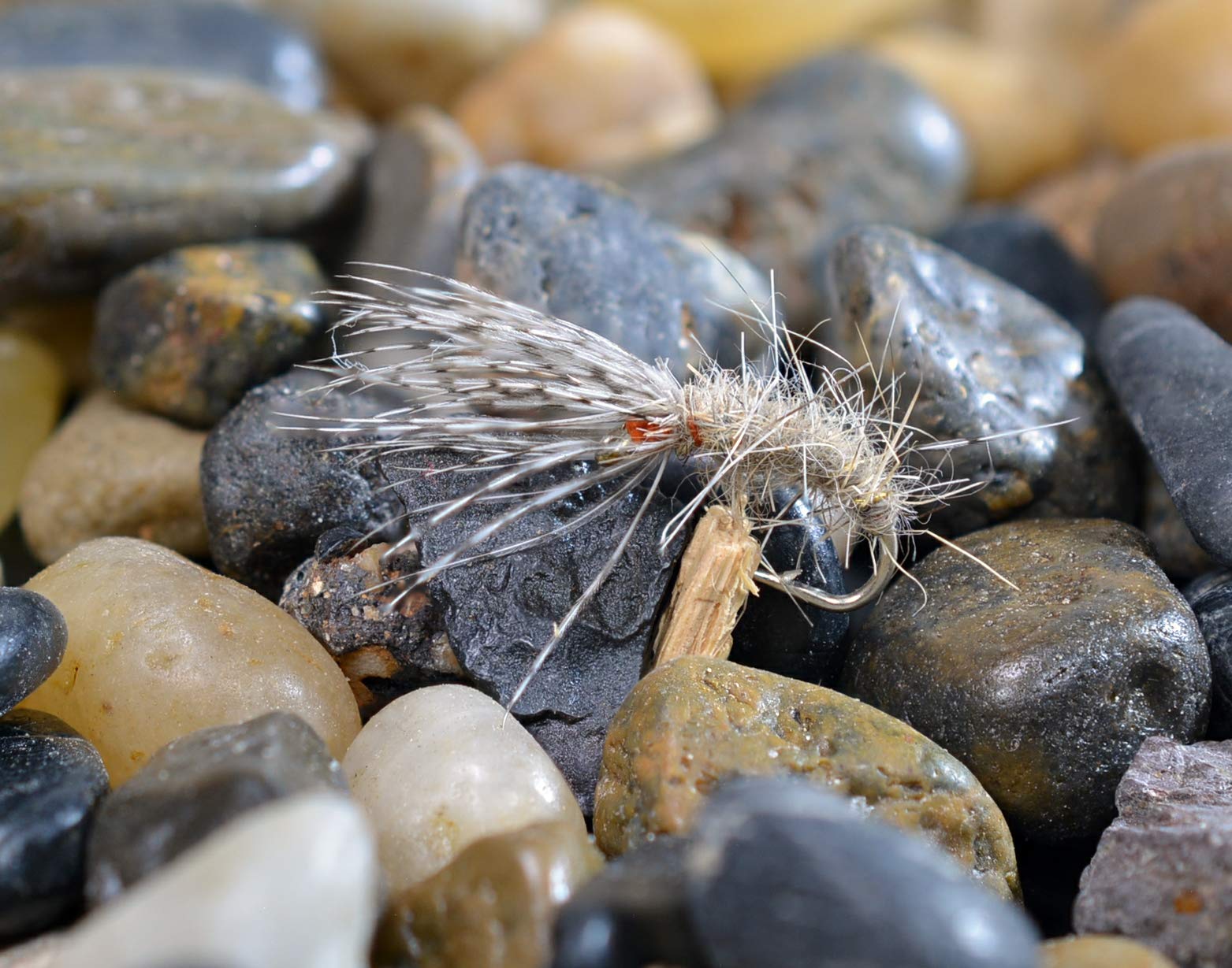 Region Fishing Silicone fly box keeps flies protected and ready