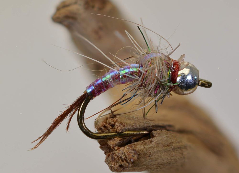 Region Fishing Rainbow Warrior Midge Nymph with brass bead, front view, ideal for deeper water.