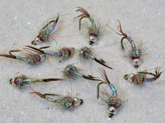 Region Fishing Rainbow Warrior Midge Nymph assortment in pack, ready for trout fishing.