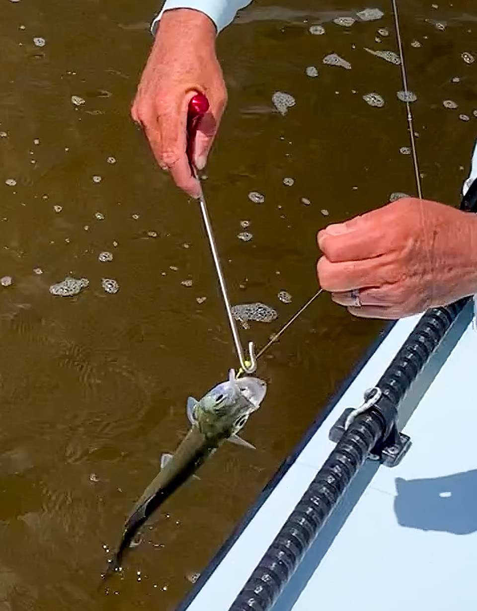 Region Fishing dehooker in blue handles snapper to shark efficiently